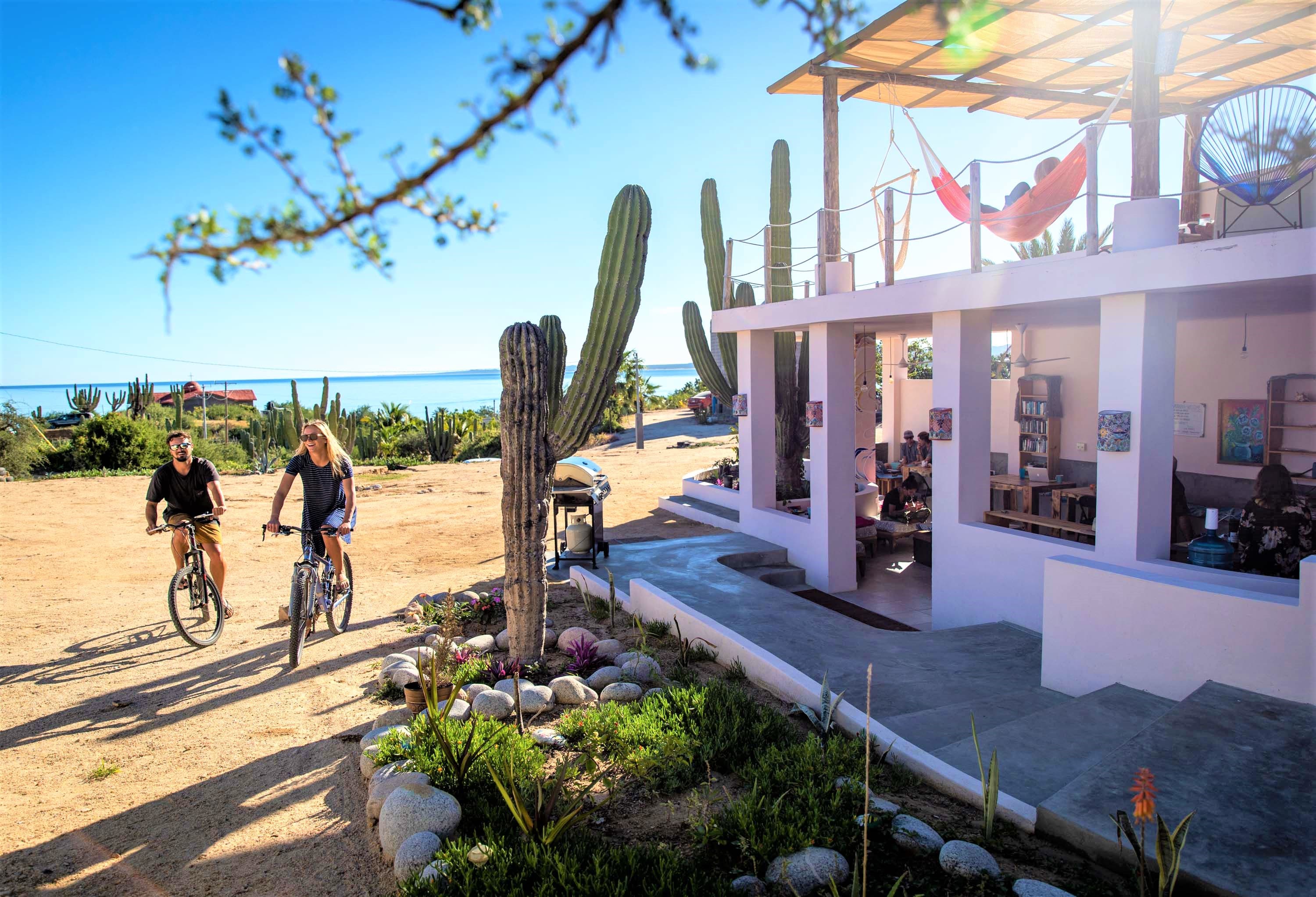 Cyclists riding past tall cacti next to the hostel, with the sea and Cerralvo Island in the background